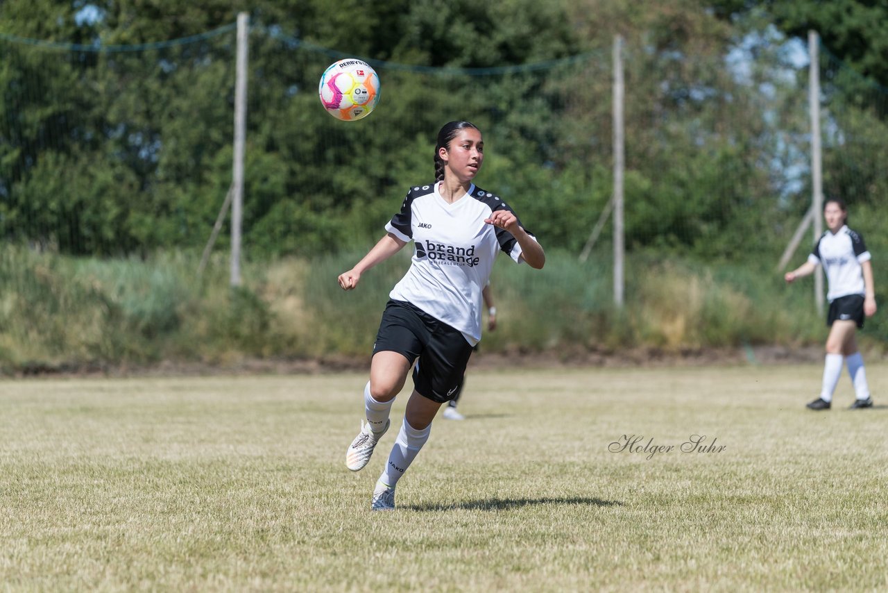 Bild 190 - wBJ TuRa Meldorf/Buesum - JFV Luebeck : Ergebnis: 1:0